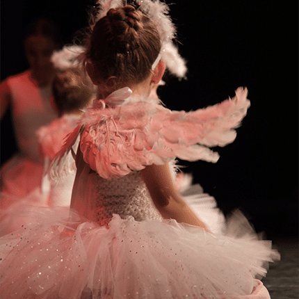 Ballet 2 anspm